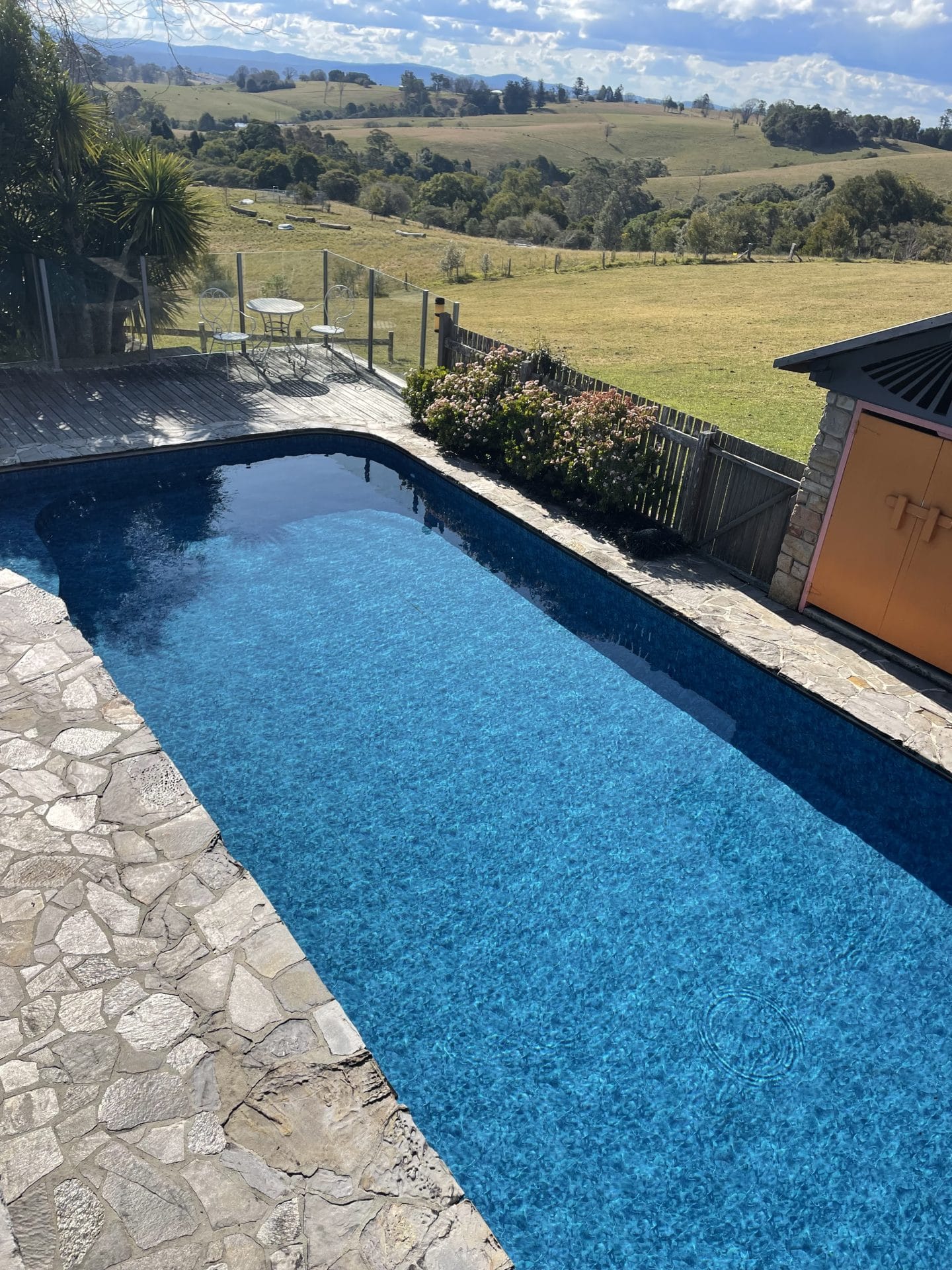 Stunning blue swimming pool and spa in gorgeous outdoor area.