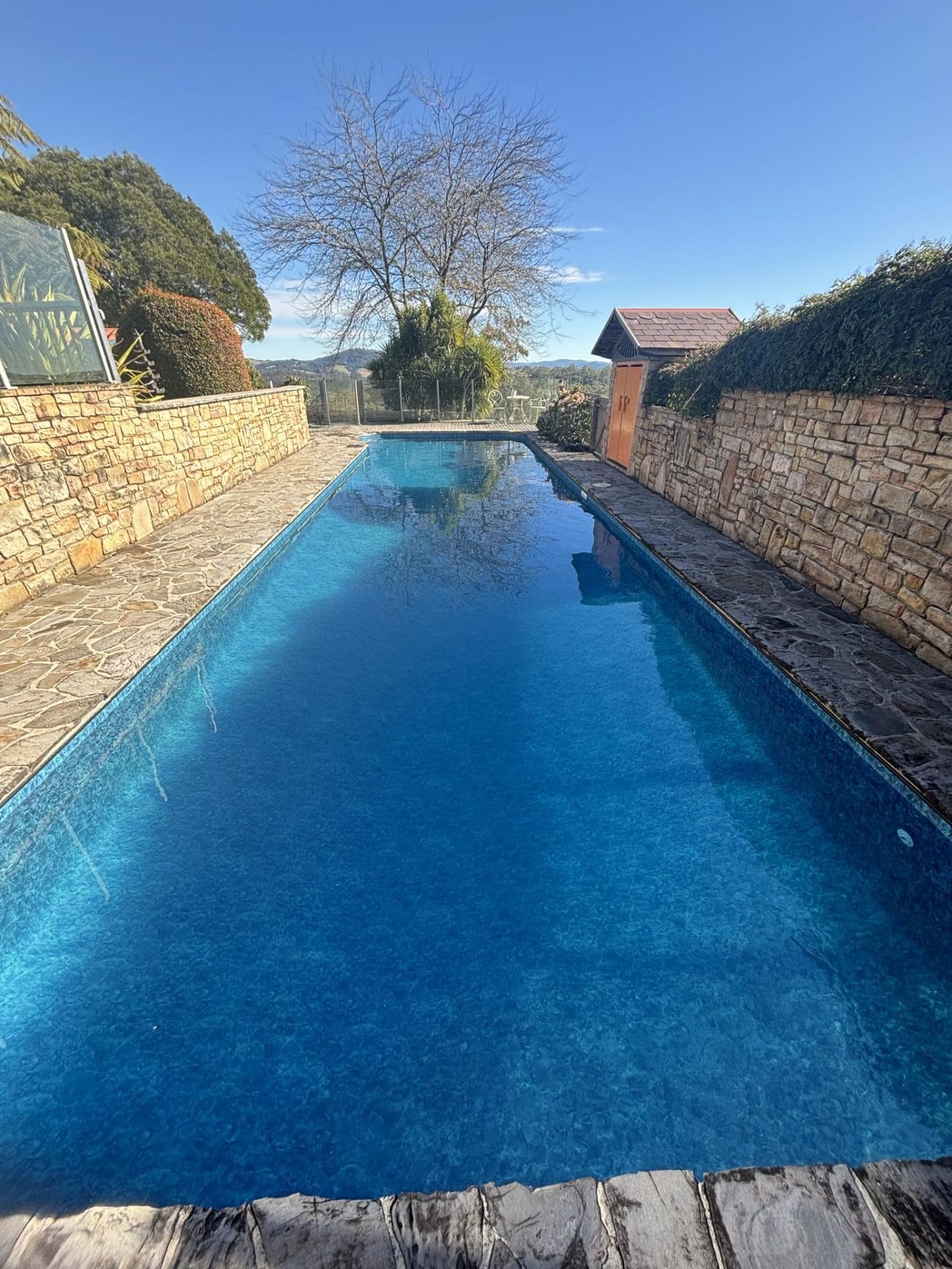 Blue vinyl pool liner for swimming pool and backyard tropical retreat.