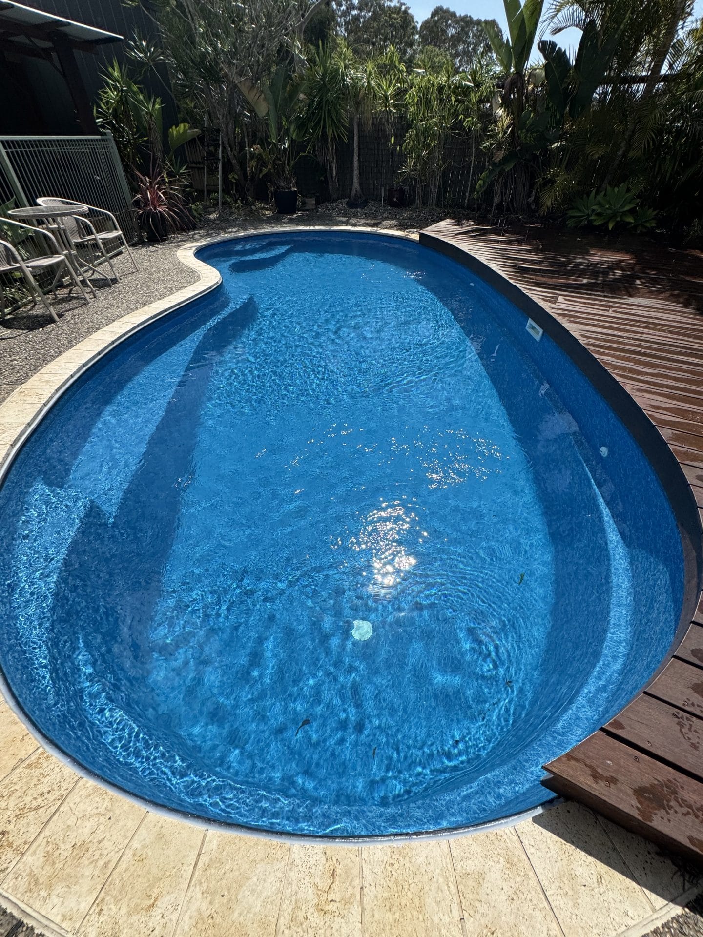 IMG_6290 Stunning blue swimming pool and spa in gorgeous outdoor area.